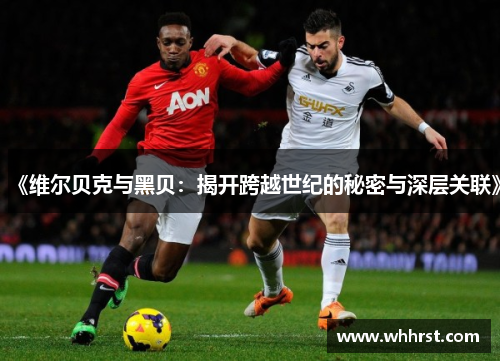 《维尔贝克与黑贝:揭开跨越世纪的秘密与深层关联》 《维尔贝克与黑贝:揭开跨越世纪的秘密与深层关联》