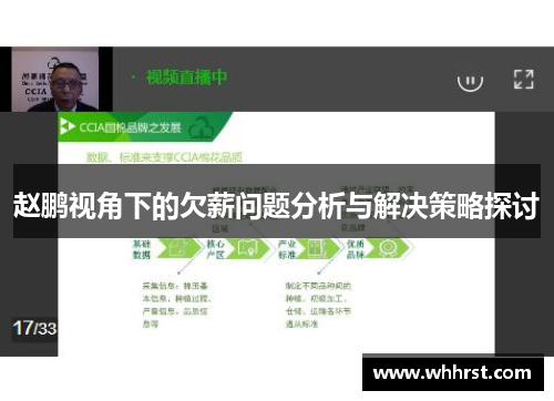 赵鹏视角下的欠薪问题分析与解决策略探讨